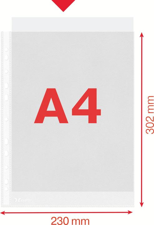 Produktbild Leitz Prospekthuelle A4 oben offen Prospekthlle Esselte, A4, oben offen, PP Folie, genarbt (A4, 1 x)