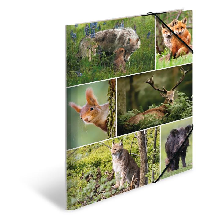 Produktbild HERMA Sammelmappe A4 Motiv (A4, 1x)