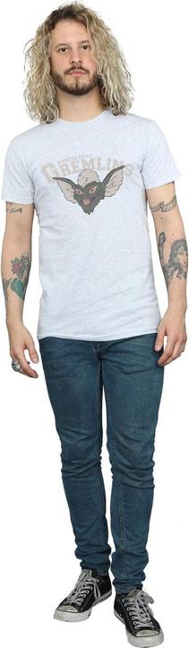 Image du produit Universal Textiles - T-shirt KINGSTON FALLS SPORT - Homme (S)