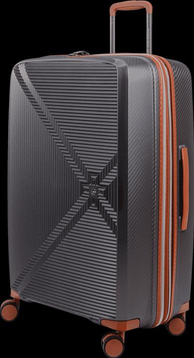 Actual product image Swissbags New Vision (94 l)