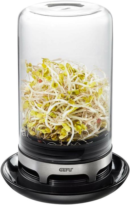 Actual product image GEFU Bivita rung glass