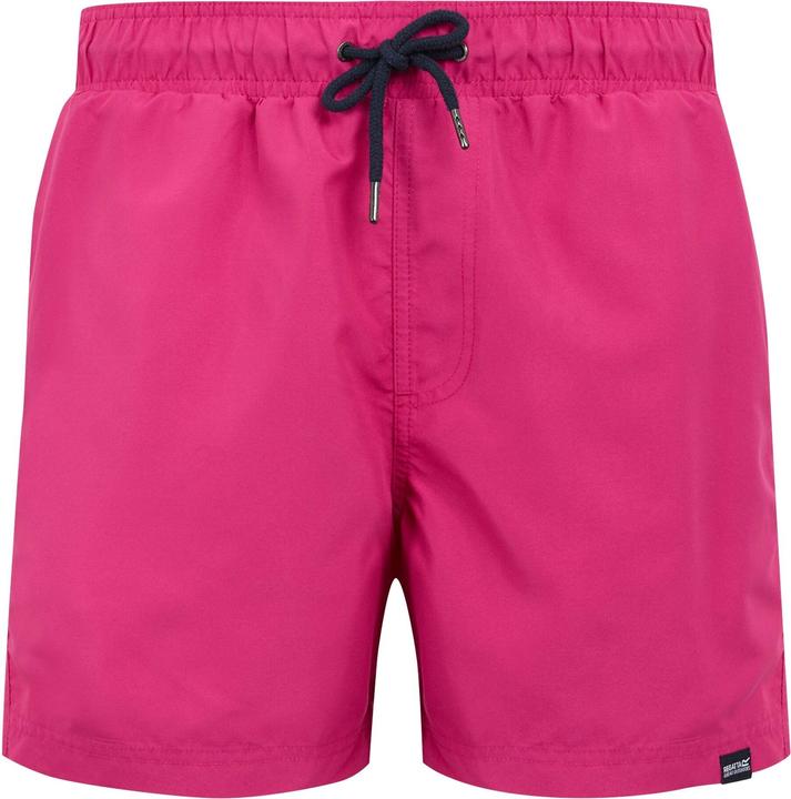 Produktbild Regatta Mawson II Kurze Hose (3XL)