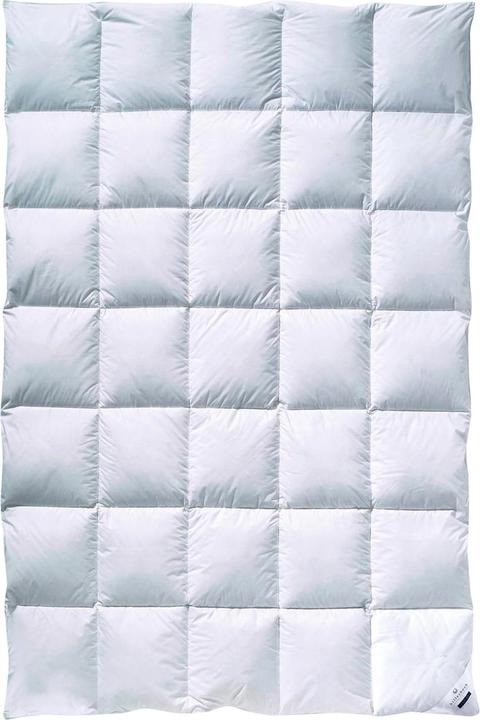 Produktbild Billerbeck Clivia 90 (135 x 200 cm)