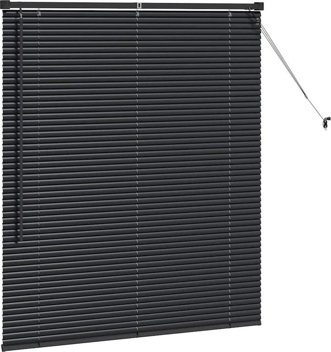 Immagine prodotto VidaXL Tende per finestre (110 x 130 cm)