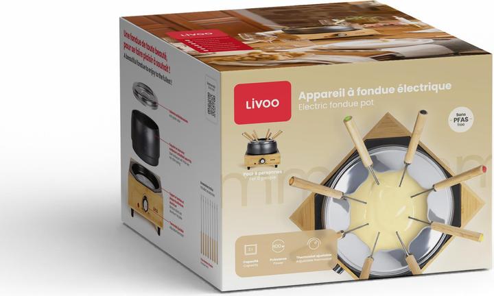 Actual product image Livoo Electric fondue set (Chinoise Fondue)
