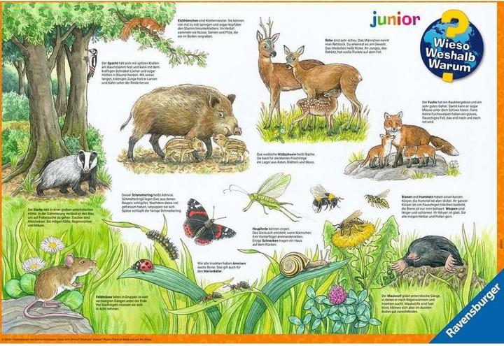 Immagine prodotto Ravensburger Perché? Perché? Perché? Animali nella foresta e nel prato (12 pezzi)