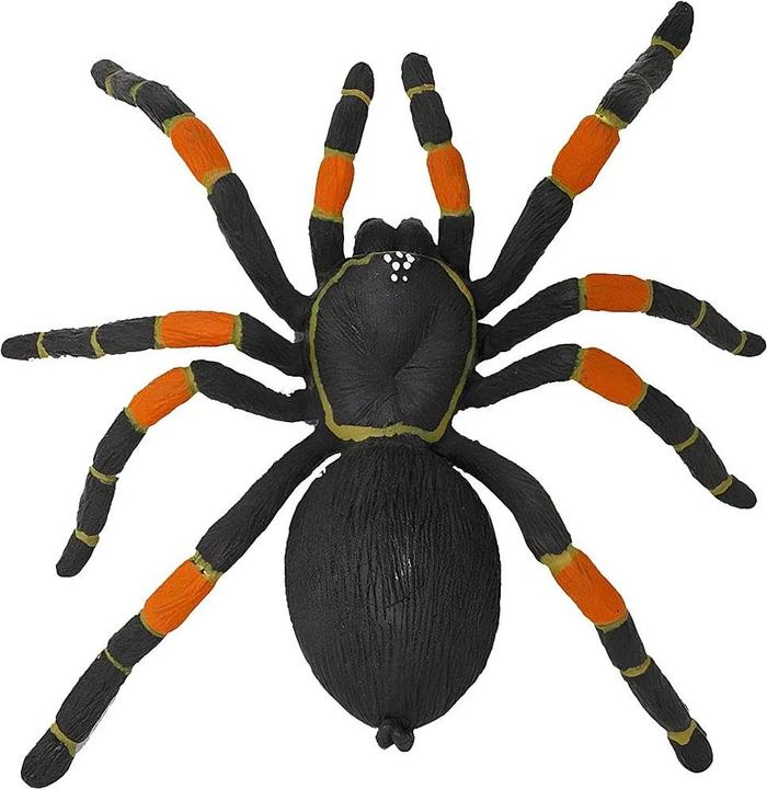 Image du produit Safari Hk tarentule, noir-orange