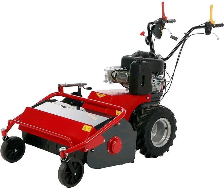 Immagine prodotto Benassi TR 800 Rasaerba professionale a martelli B e S 3125E