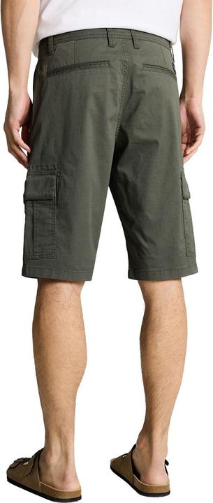 Image du produit Tom Tailor Regular Printed Cargo Shorts (29)