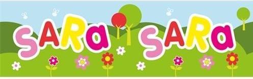 John Hinde Bidon 300ml Sara (0.30 l)