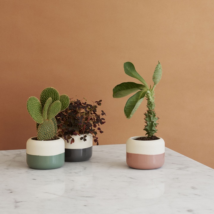 Produktbild Rig-Tig by Stelton Plant-it Blumentopf (9 cm)