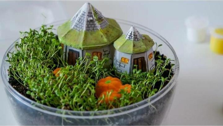 Produktbild Clementoni Harry Potter - Terrarium