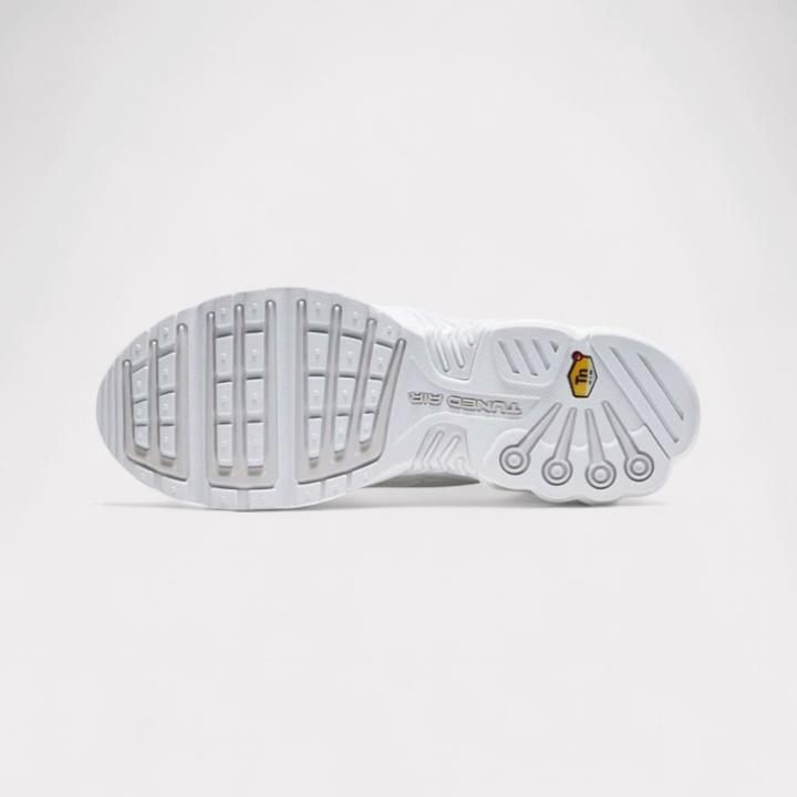 Image du produit Nike Air Max Plus 3 (45)