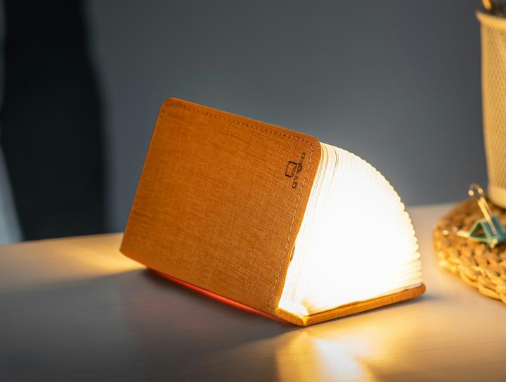 Immagine prodotto Gingko Mini luce intelligente del libro