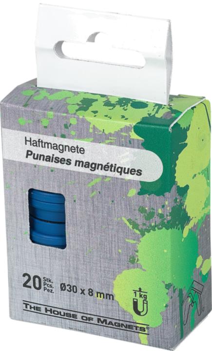 Image du produit House of Magnets Aimants (4x)