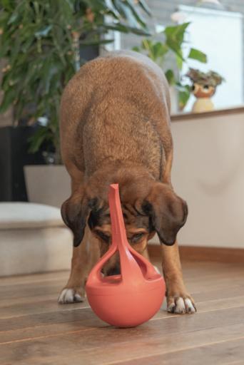 Actual product image Beeztees Rubber dog toy Wiggle-X (Dog chew toy)