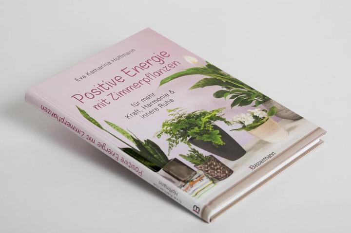 Produktbild Positive Energie mit Zimmerpflanzen - 86 Energiepflanzen für mehr Kraft, Harmonie und innere Ru (Deutsch, Eva Katharina Hoffmann, 2019)