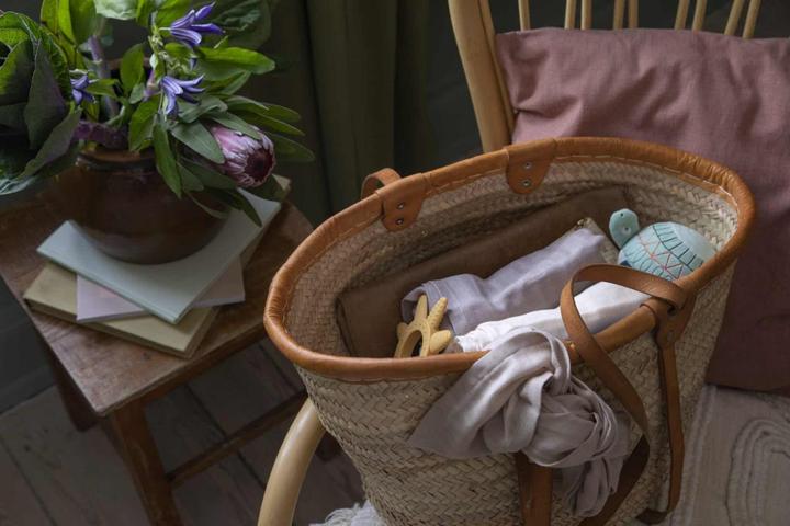 Immagine prodotto Sebra Musica e dispositivi mobili, Safari