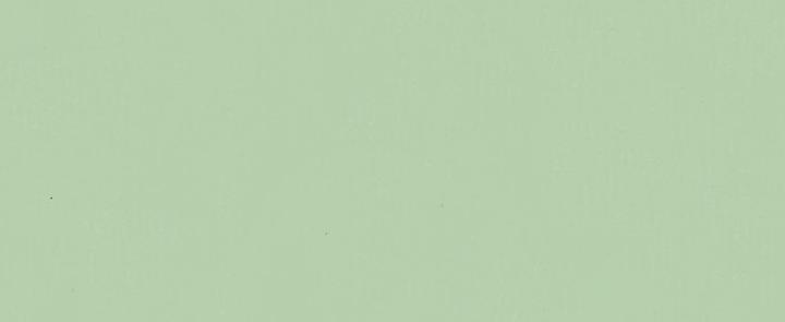 Produktbild vidaXL Pflanzkübel