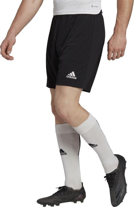 Produktbild adidas Entrada 22 Shorts Herren (3XL)