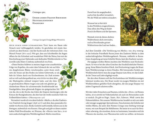 Produktbild Frau Haselin und Drecksäck (Deutsch, Rosemarie Gebauer, 2016)