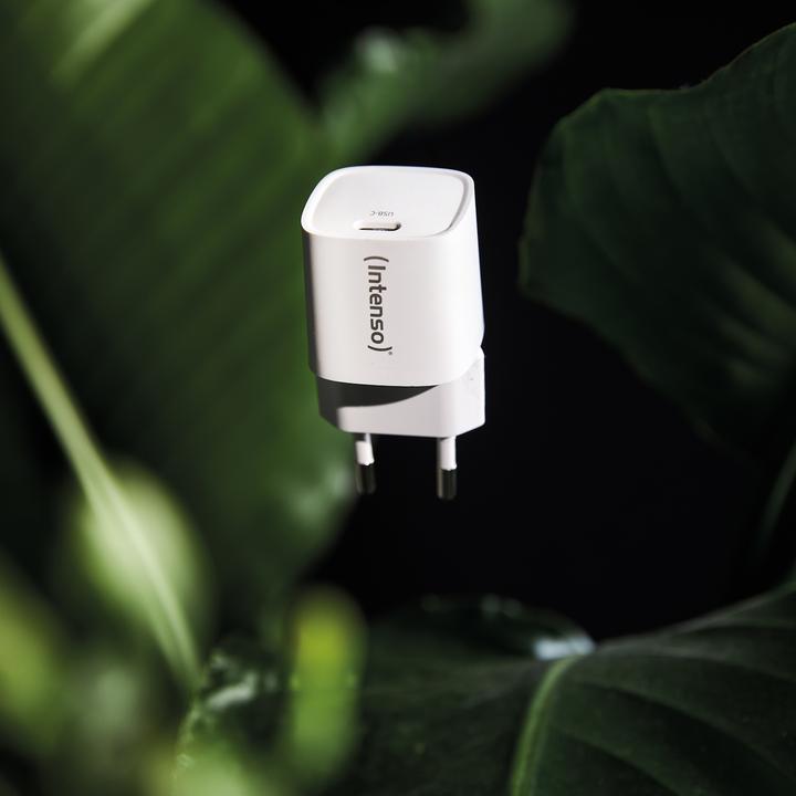 Image du produit Intenso Adaptateur d'alimentation W30C² GaN Blanc 1x USB-C 30W (30 W, 1 portion)