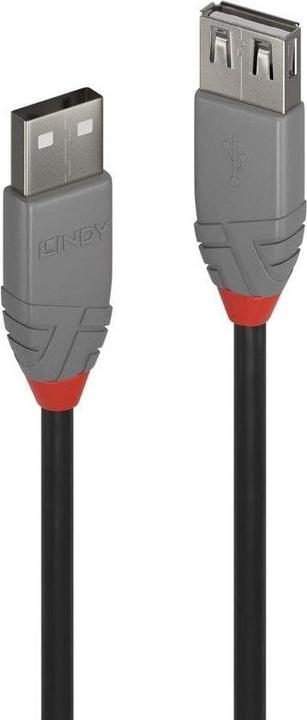 Produktbild Lindy USB/A-USB/A M-F (1 m, USB 2.0)