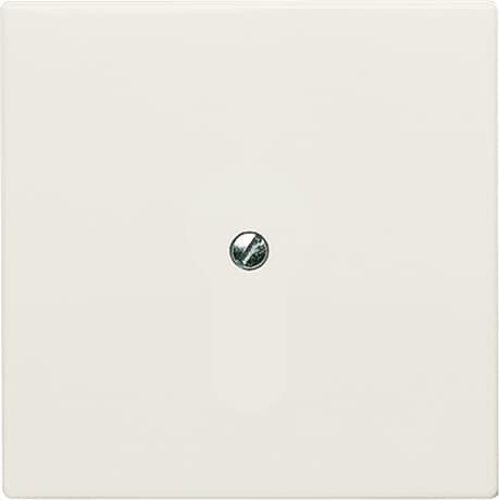 Actual product image Busch-Jaeger Blind central disc