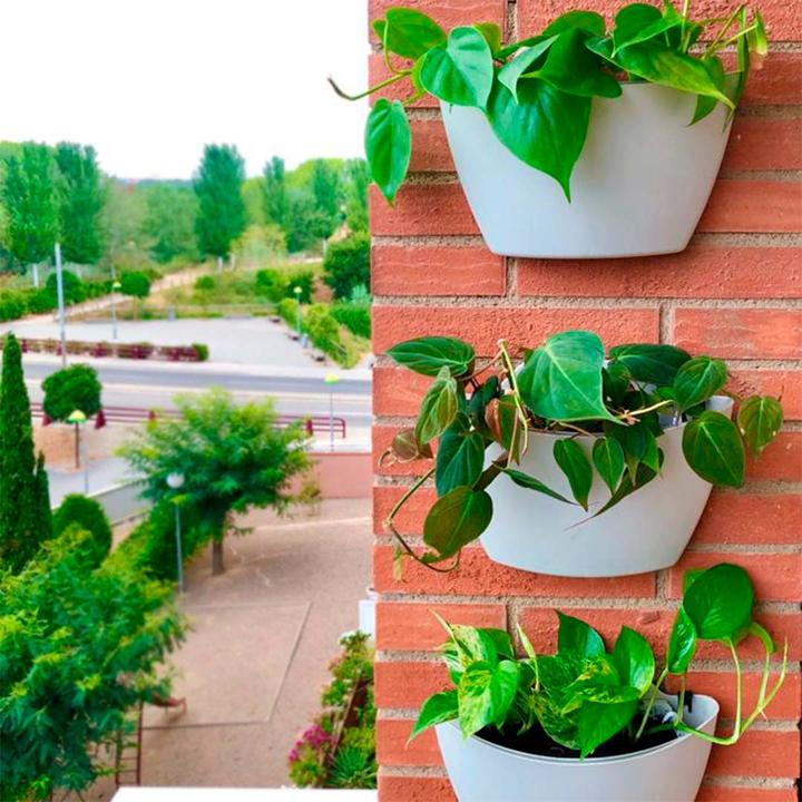 Image du produit CitySens 3 Pack di fioriere da parete  fioriera grigia (9 cm)