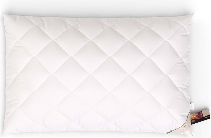 Immagine prodotto Erzstef Allergia Chemnitz (65 x 100 cm)