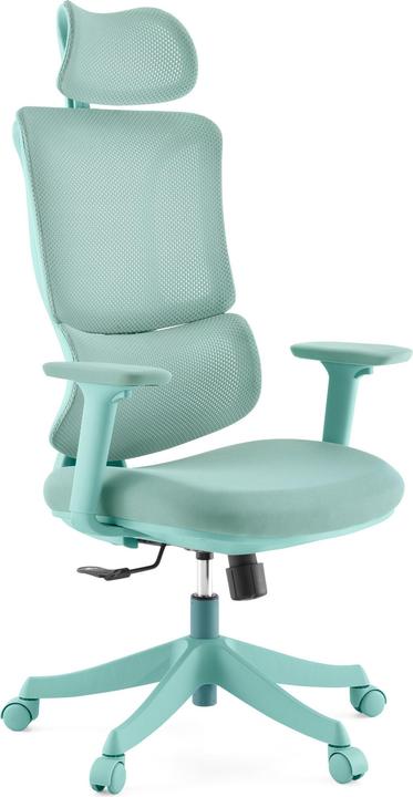 Immagine prodotto MyBuero Ergomy Colore (45 - 55 cm)