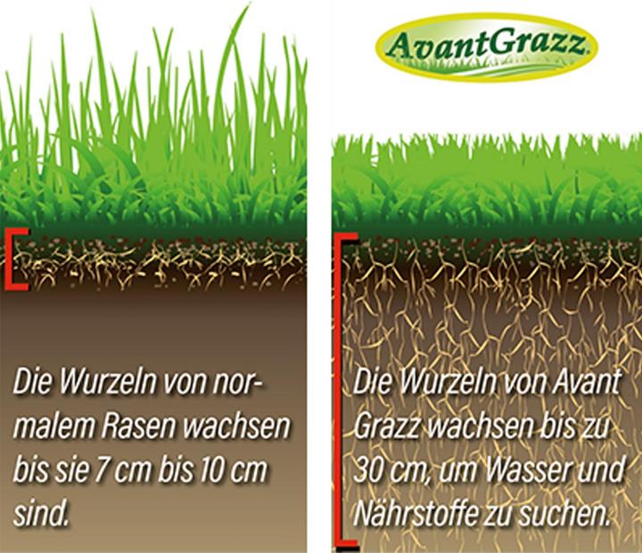Actual product image Best direct Avant Grazz (Lawn reseed)