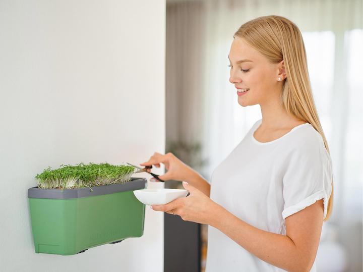 Actual product image Gusta Garden HARRY HERBS Herb Pot with Hood, Dark Green (35.80 x 15 x 25 cm)