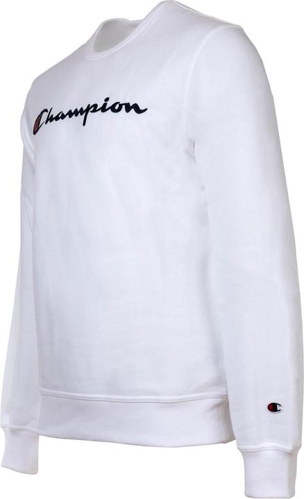 Actual product image Champion Crewnneck Sweatshirt (L)