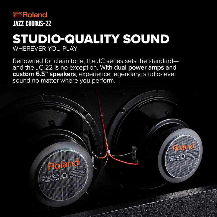 Immagine prodotto Roland Amplificatore per chitarra JC-22 (Chitarra, 30 W)