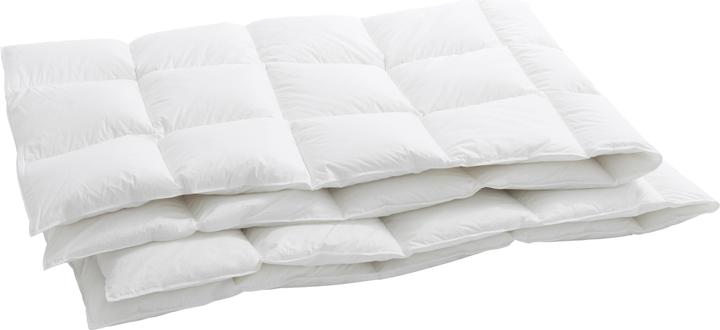 Immagine prodotto Feelings by billerbeck Lara (950 g, 240 x 240 cm)