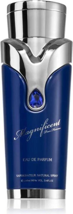 Armaf Magnificent Blue Pour Homme (Eau de Parfum, 100 ml)