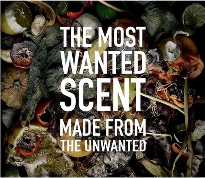 Produktbild Etat Libre D'Orange I Am Trash Les Fleurs Du Dechet by Etat Libre D’orange (Eau de Parfum, 100 ml)