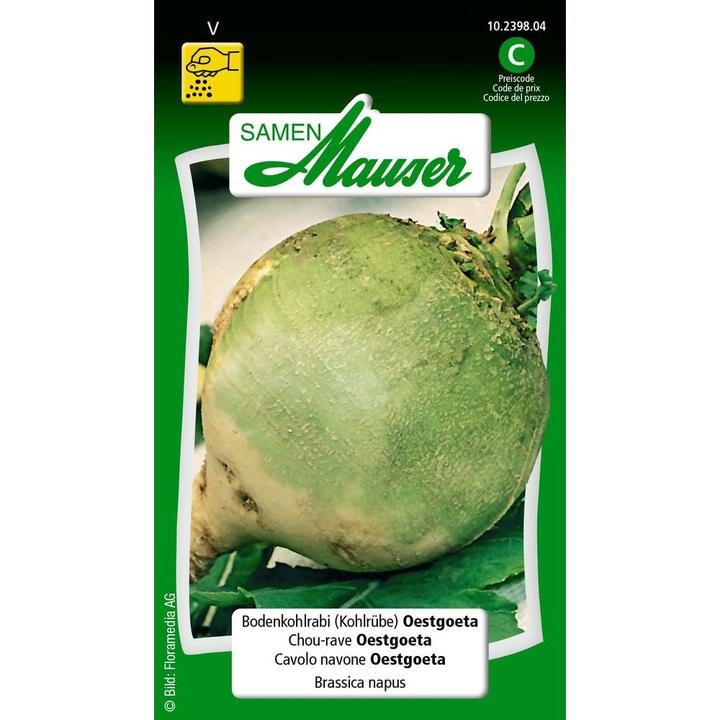 Image du produit Samen Mauser Chou-rave au sol Chou-rave Oestgoeta (Graines de légumes)