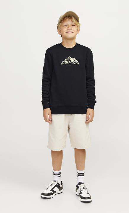 Immagine prodotto Jack & Jones Jcomountain Logo Sweat Crew Neck Sn Mni (116)