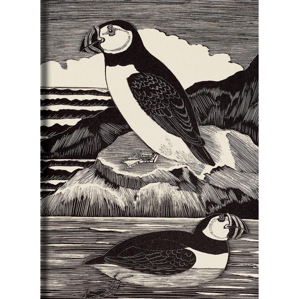 Daglish:Birds Journal, Fachbücher von Eric Fitch Daglish