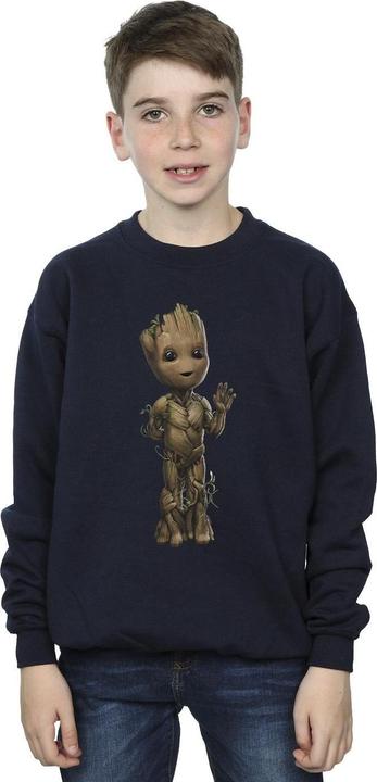 Produktbild I Am Groot Wave Pose Sweatshirt Jungen (140, 146)