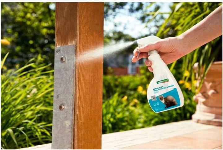 Image du produit Windhager Marder-Stop Spray 500 ml (500 ml)