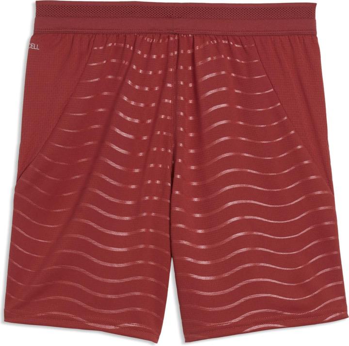 Image du produit Puma FPF Shorts Replica Jr (152)