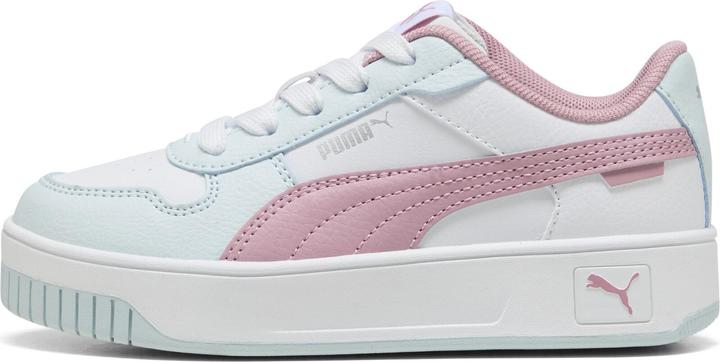 Puma Carina Street PS (30)