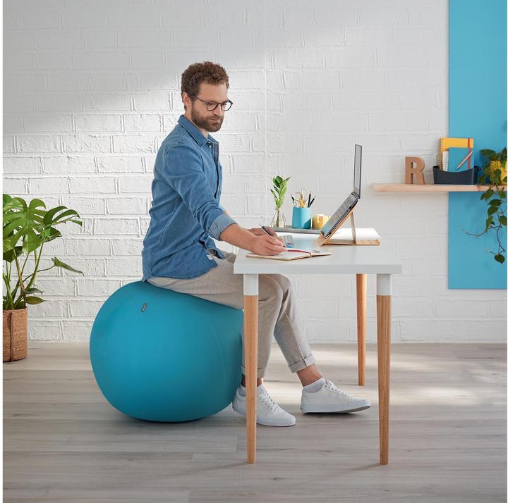 Immagine prodotto Leitz Palla per sedersi Ergo Cosy Active (65 cm)