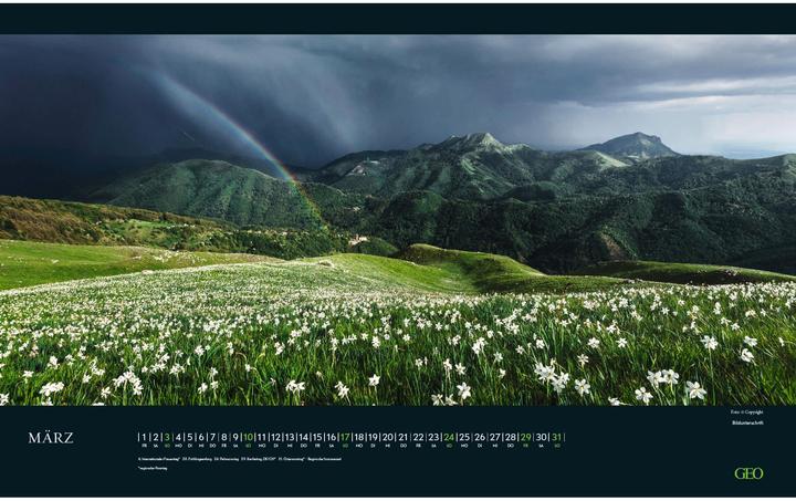 Image du produit Neumann GEO - Calendrier mural Moments in Nature 2025 - Fascinantes photographies de la nature, format (58 x 36 cm)