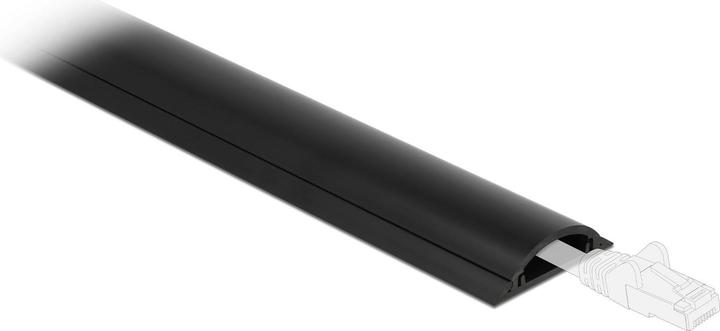 Productafbeelding Delock Kabelgoot 50 x 12 mm (Kabelkanaal, 100 cm)
