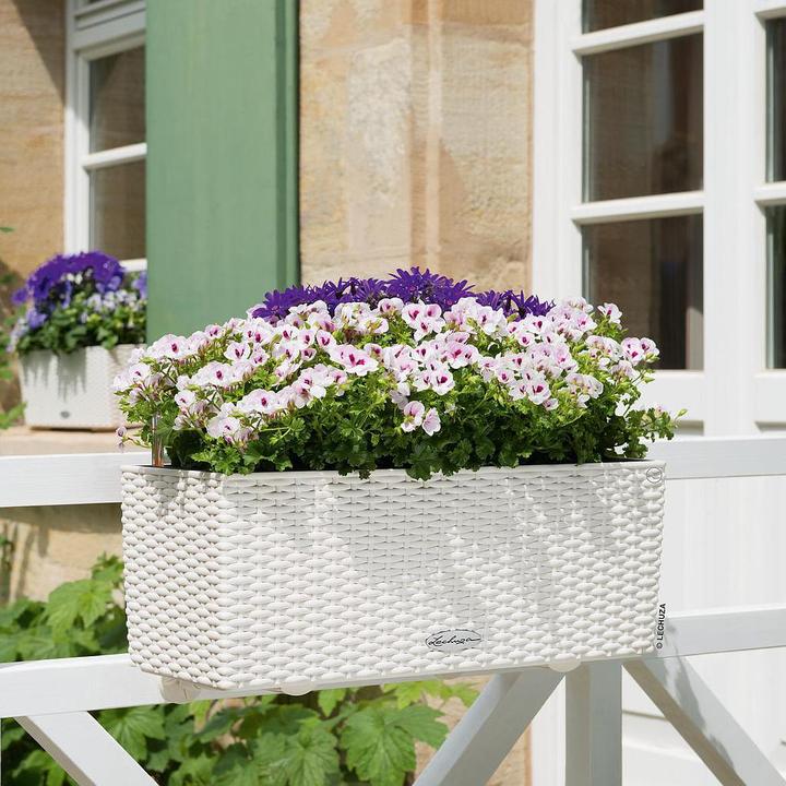 Actual product image Lechuza Balconera Cottage (19 cm)