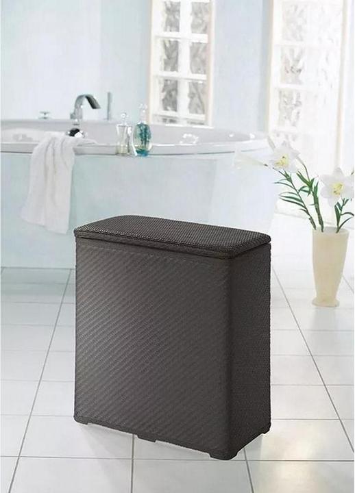 Actual product image Kleine Wolke Laundry boy (56 l)